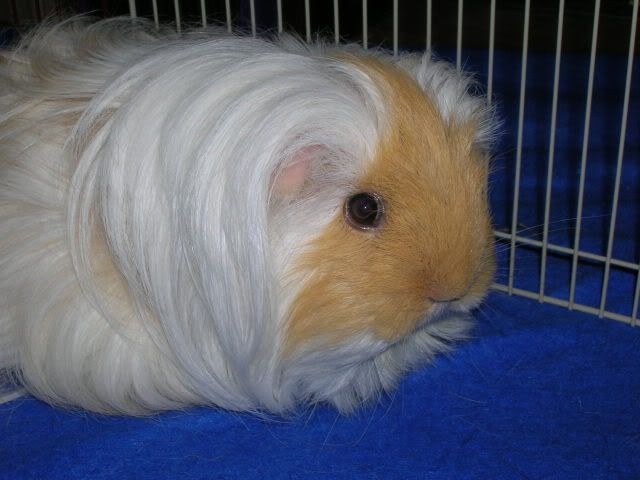 DSCN2540.jpg