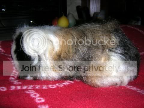 DSCN2566.jpg