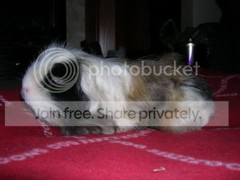 DSCN2567.jpg