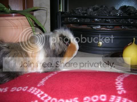 DSCN2568.jpg