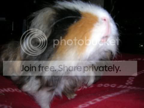 DSCN2570.jpg