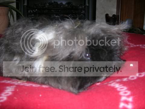 DSCN2572.jpg