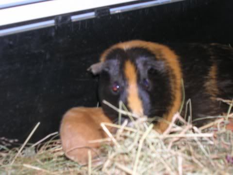 DSCN2605.jpg