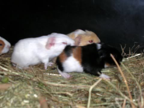 DSCN2609.jpg