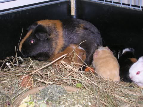 DSCN2612.jpg