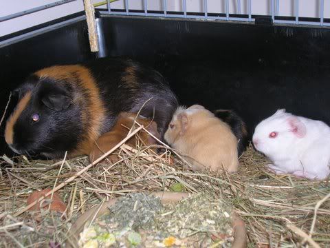 DSCN2613.jpg
