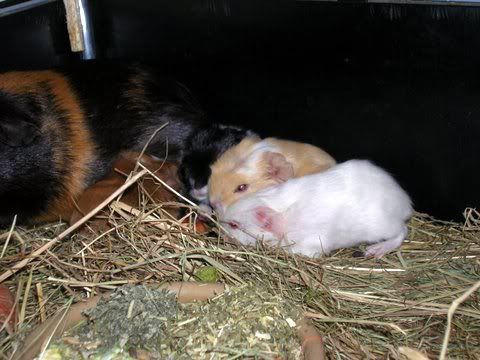 DSCN2615.jpg