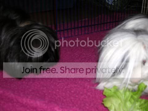 DSCN2624.jpg