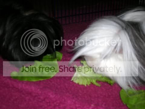 DSCN2625.jpg