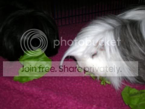DSCN2626.jpg