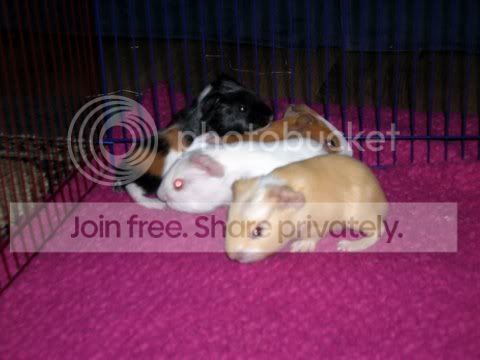 DSCN2631.jpg