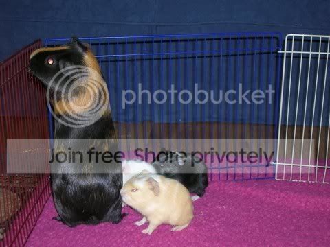 DSCN2647.jpg