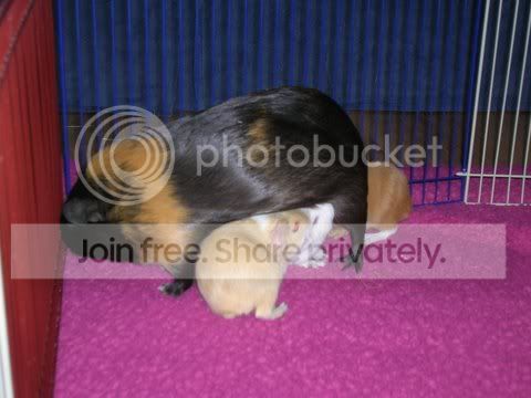 DSCN2651.jpg