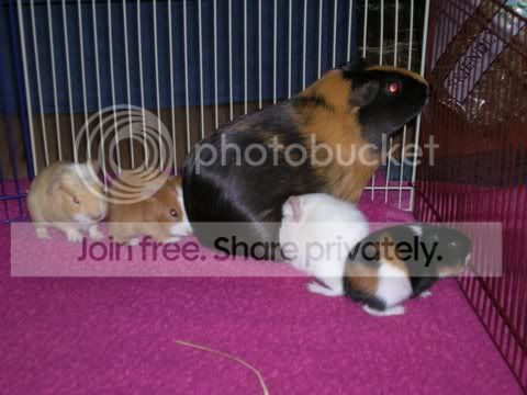 DSCN2653.jpg