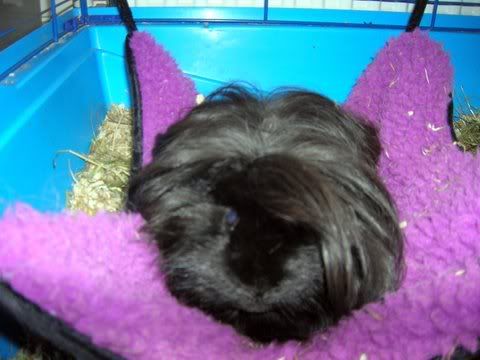 DSCN2655.jpg