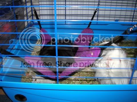 DSCN2658.jpg