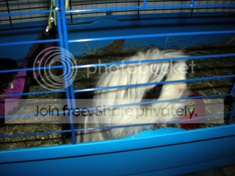 DSCN2659.jpg