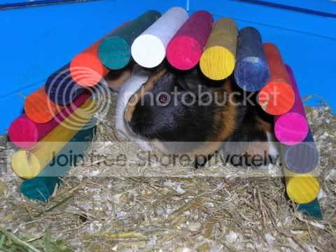DSCN2662.jpg