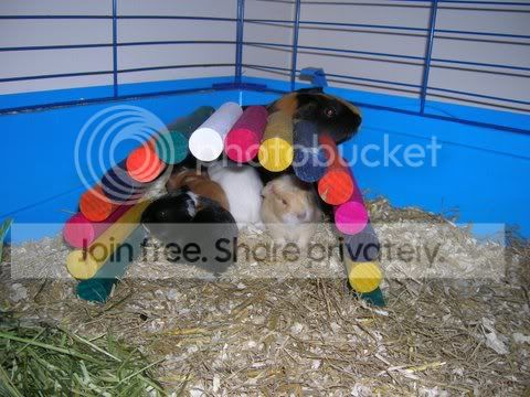 DSCN2664.jpg