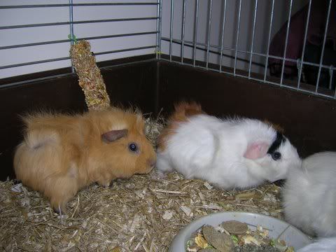 DSCN2667.jpg