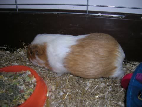 DSCN2671.jpg