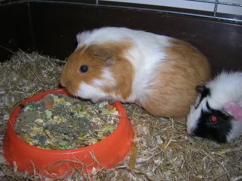 DSCN2672.jpg