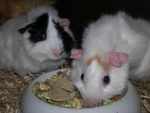 DSCN2677.jpg