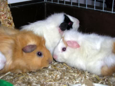 DSCN2679.jpg