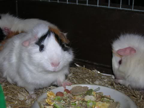 DSCN2682.jpg