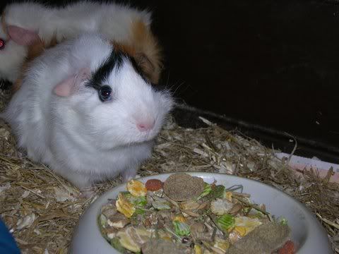 DSCN2683.jpg