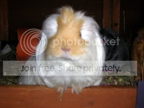 DSCN2688.jpg