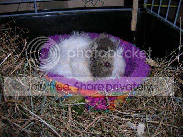 DSCN2767.jpg