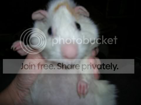 DSCN2801.jpg