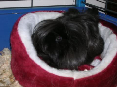 DSCN2808.jpg