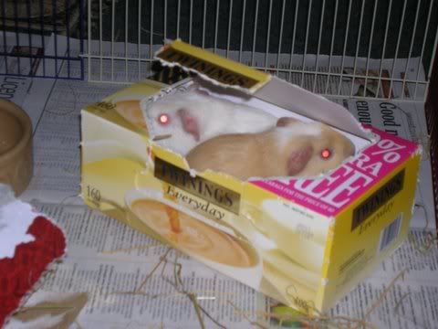 DSCN2869.jpg