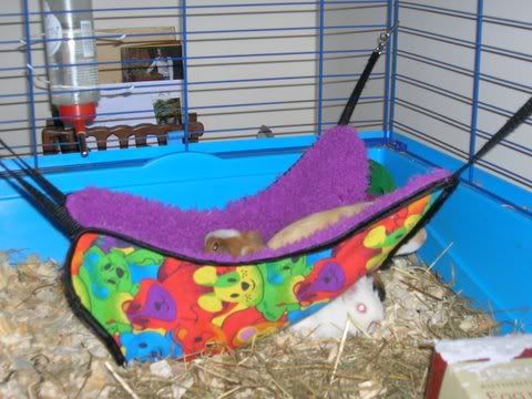 DSCN2875.jpg