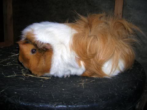 DSCN2902.jpg