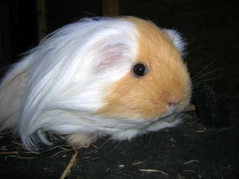 DSCN2905.jpg