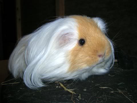 DSCN2906.jpg