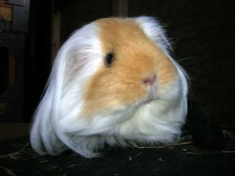 DSCN2909.jpg