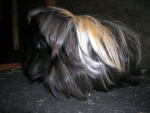 DSCN2915.jpg