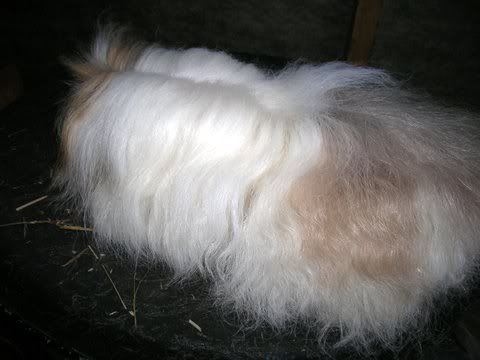 DSCN2916.jpg