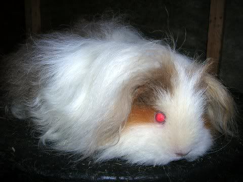 DSCN2917.jpg