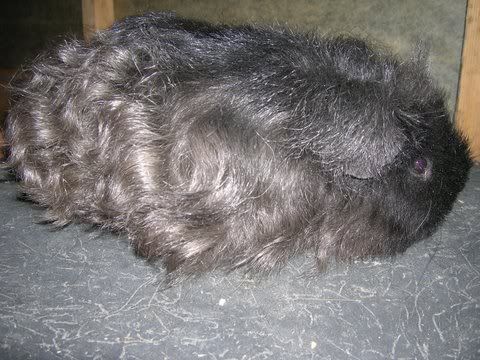DSCN2918.jpg
