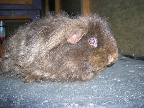 DSCN2923.jpg