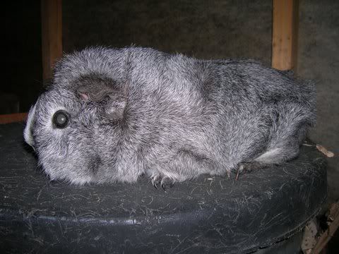 DSCN2925.jpg