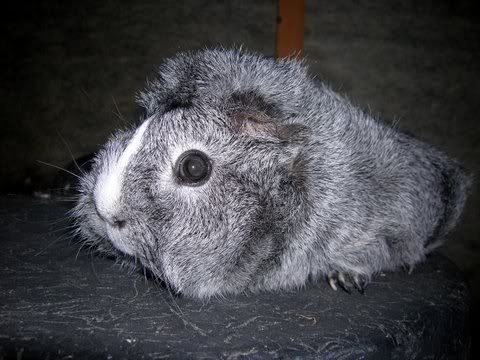 DSCN2926.jpg
