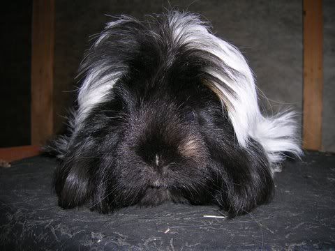 DSCN2931.jpg