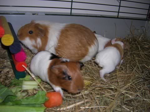 DSCN2973.jpg