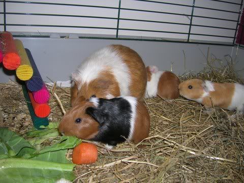 DSCN2974.jpg